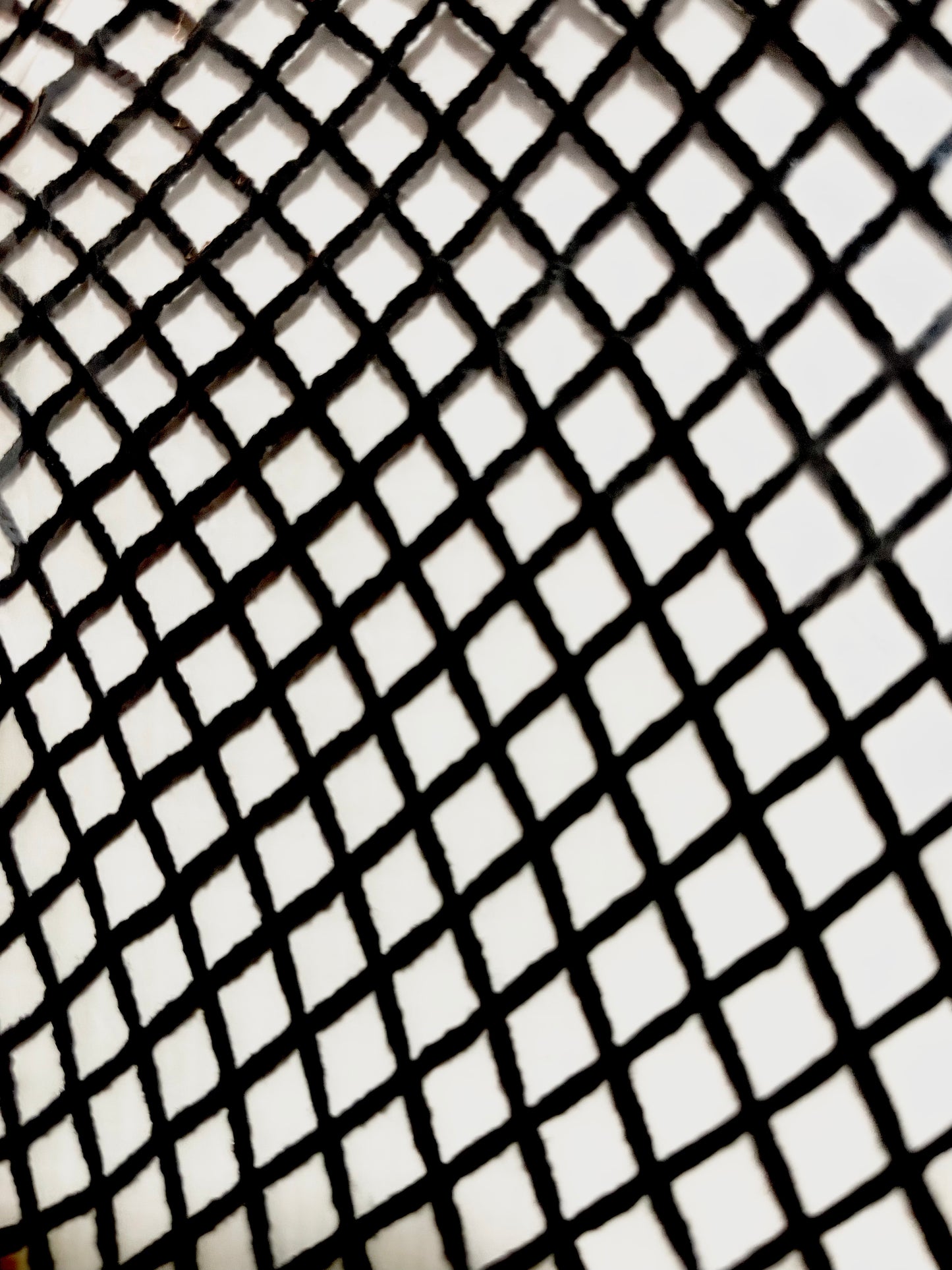 Fishnets - Fishnet Hosiery