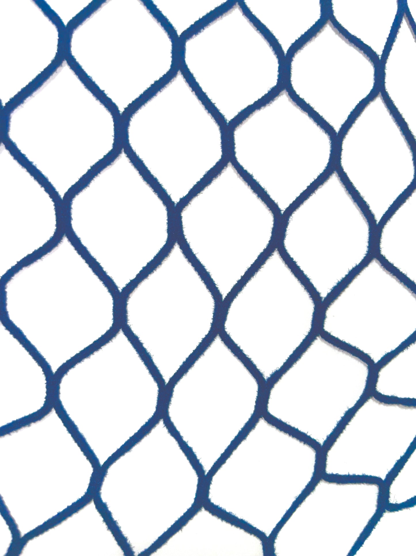 Fishnets