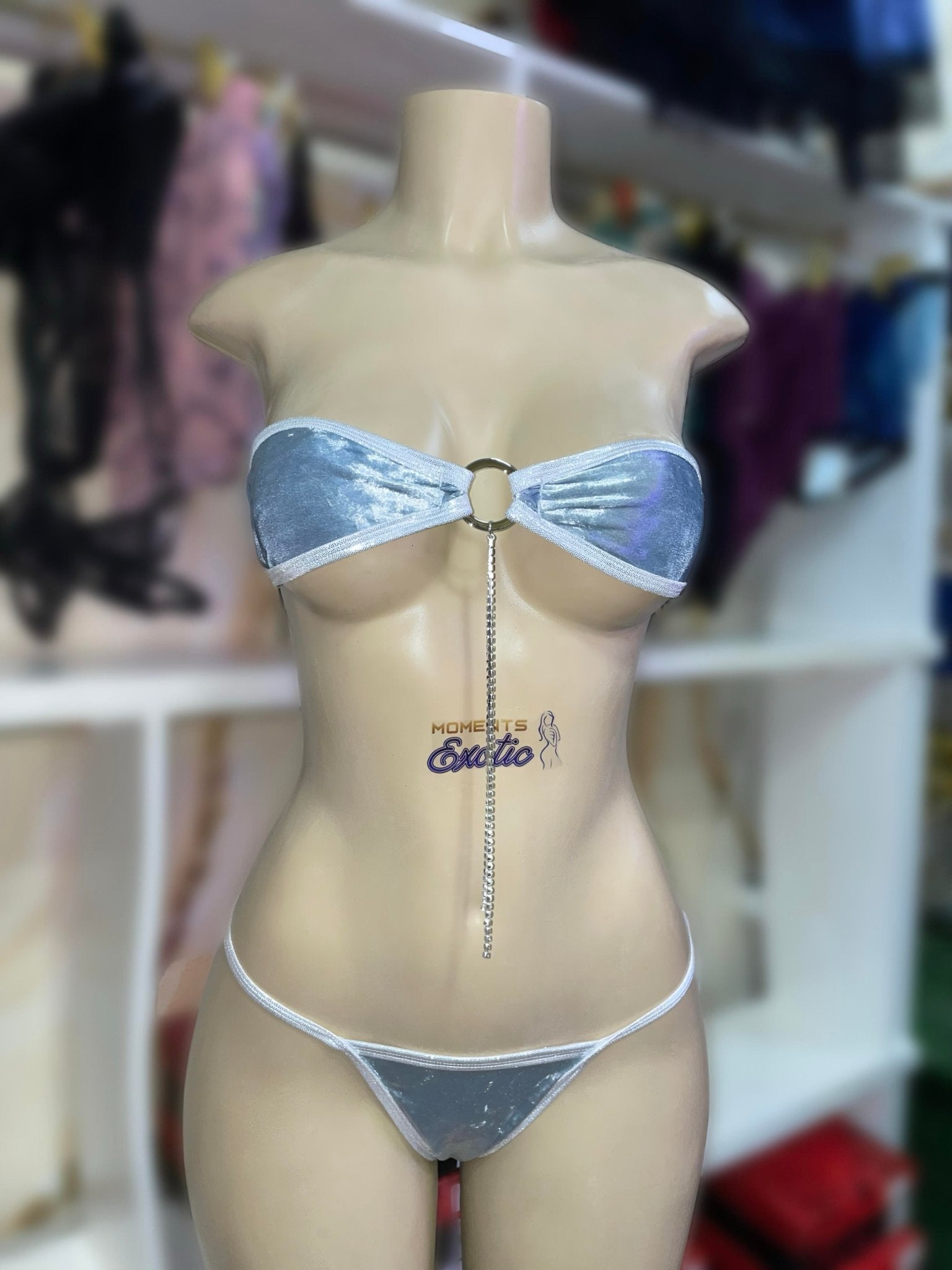 Silver Velvet 2pc Bikini - Exotic dance outfit